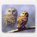 Search for barred mouse mats Birds
