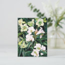 Search for rhododendrons postcards Vintage