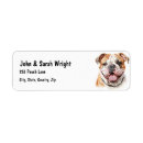 Search for bulldog return address labels Pet