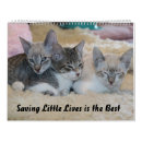 Search for save calendars Cats