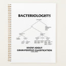 Search for gram Bacteria