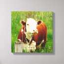 Search for cow canvas prints Brown