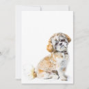 Search for tzu invitations Animal