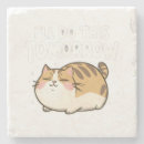Search for funny cat coasters Meow