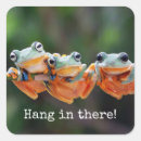 Search for small tree frog stickers Nature