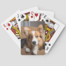 Search for corgi playing cards Queen elizabeth's