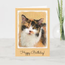 Search for calico cat cards Orange