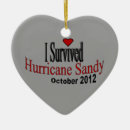 Search for i survived christmas tree decorations Hurricane