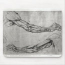 Search for muscles mouse mats Anatomical