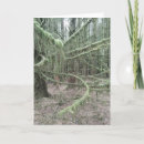 Search for mossy Woodland