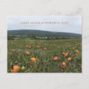 Search for pies postcards Pumpkin