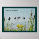 Search for cattails posters Nature