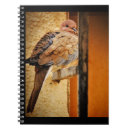 Search for dozing Animal