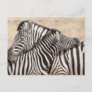 Search for necking postcards Desert