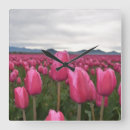 Search for spring love photography Landscape