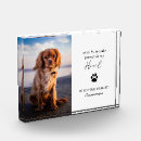 Search for dog photo display Sympathy