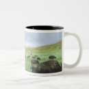 Search for theodore mugs Bison