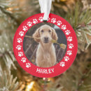 Search for dog frame christmas tree decorations Cute