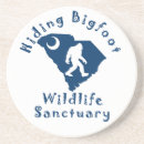 Search for hide coasters Wildlife