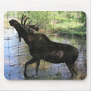 Search for moose mouse mats Hunting