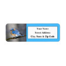 Search for bluebird return address labels Wildlife