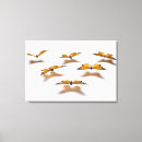 Search for monarch canvas prints Photography