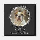 Search for pet memorial magnets Photo collage