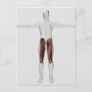 Search for joints postcards Human limbs