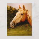 Search for blaze postcards Equine