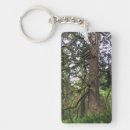 Search for cannon key rings Coast
