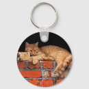 Search for cute cat key rings Red