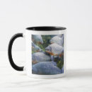 Search for piranha mugs Animal