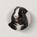 Search for white rabbit badges Cute