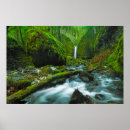Search for waterfall posters Oregon