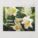 Search for lilium cards White
