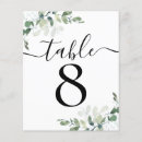 Search for number 8 Script