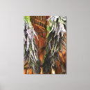 Search for lavender canvas prints Flowers
