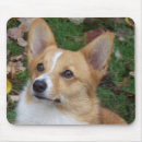 Search for handsome mouse mats Animal