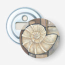 Search for snail shell Seashell