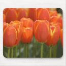 Search for aka mouse mats Close up