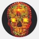 Search for tods Skull