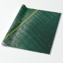Search for banana leaf wrapping paper Nature