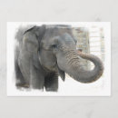 Search for trunks invitations Elephant