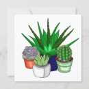 Search for aloe vera plant cards Cactus