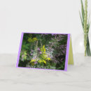 Search for clusters photography Outdoors