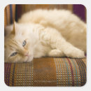 Search for couch stickers Sofa