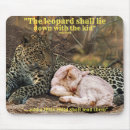 Search for shall electronics Bible verse