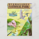 Search for everglades cards Swamp