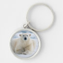Search for carnivorous key rings Arctic