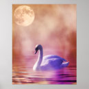 Search for swan posters Bird